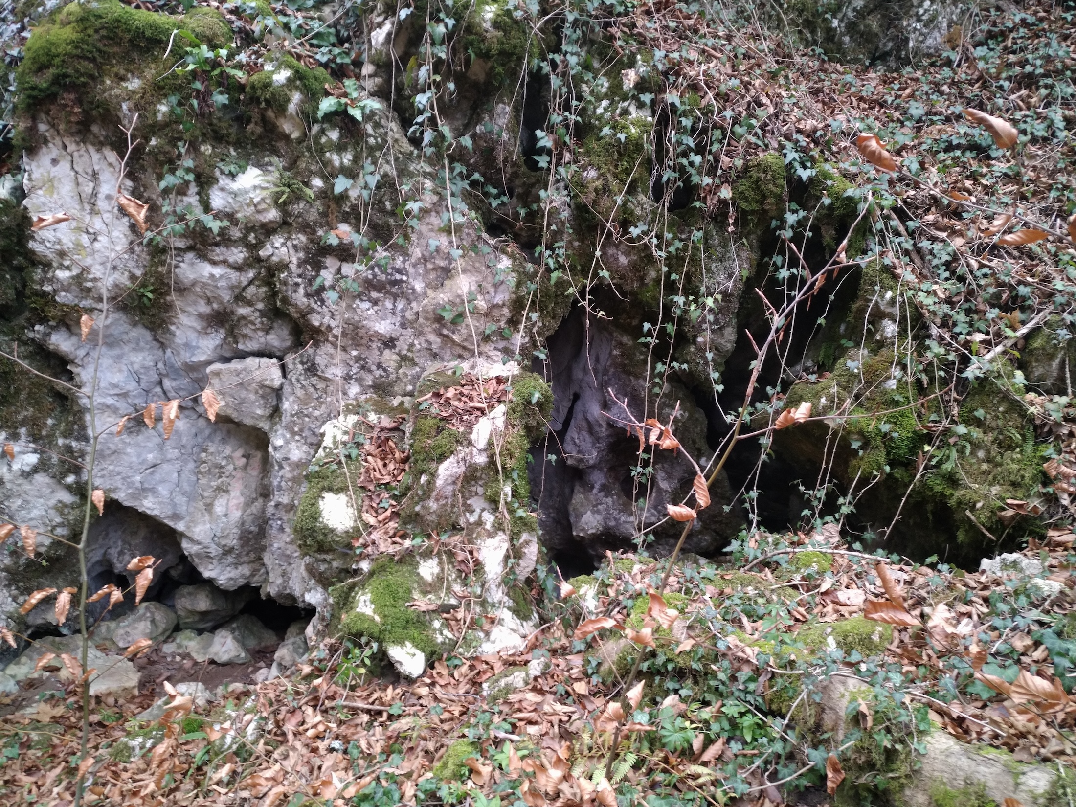 Peștera cu 4 Porți - Image 2